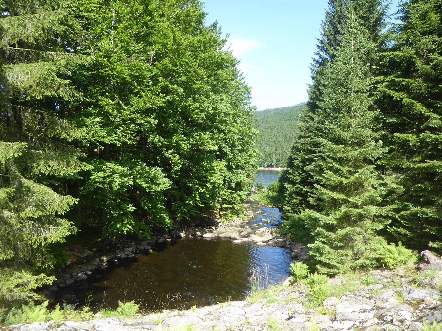 © Werner & Inge Fessel