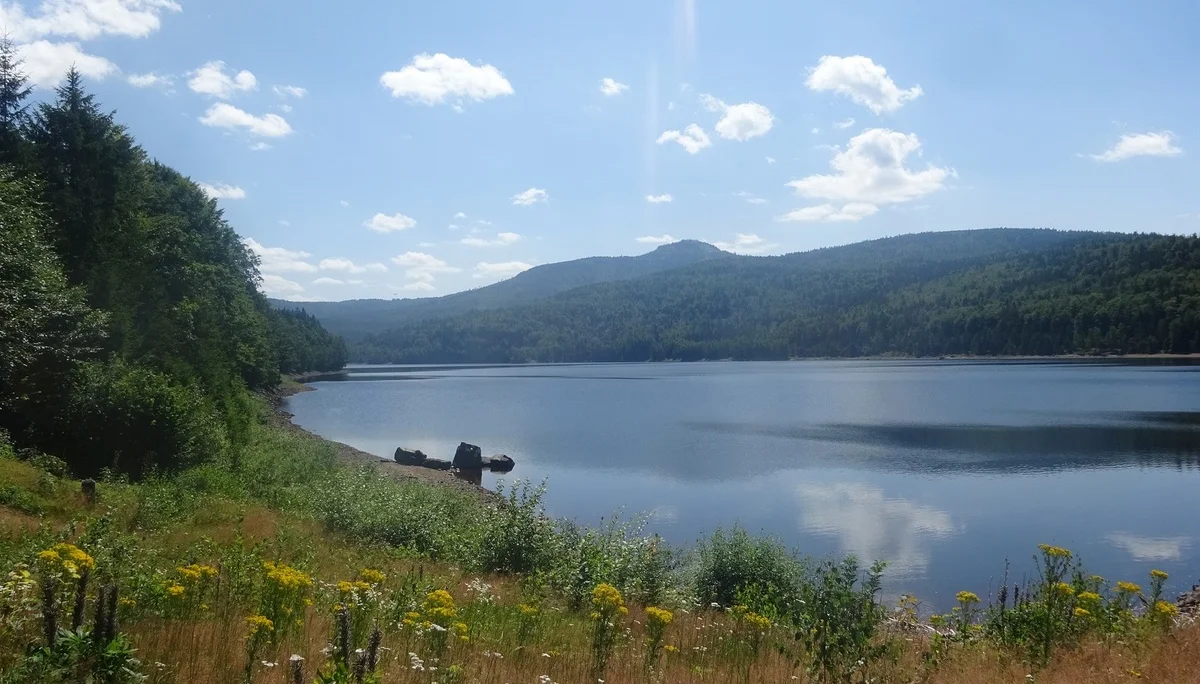 © Werner & Inge Fessel