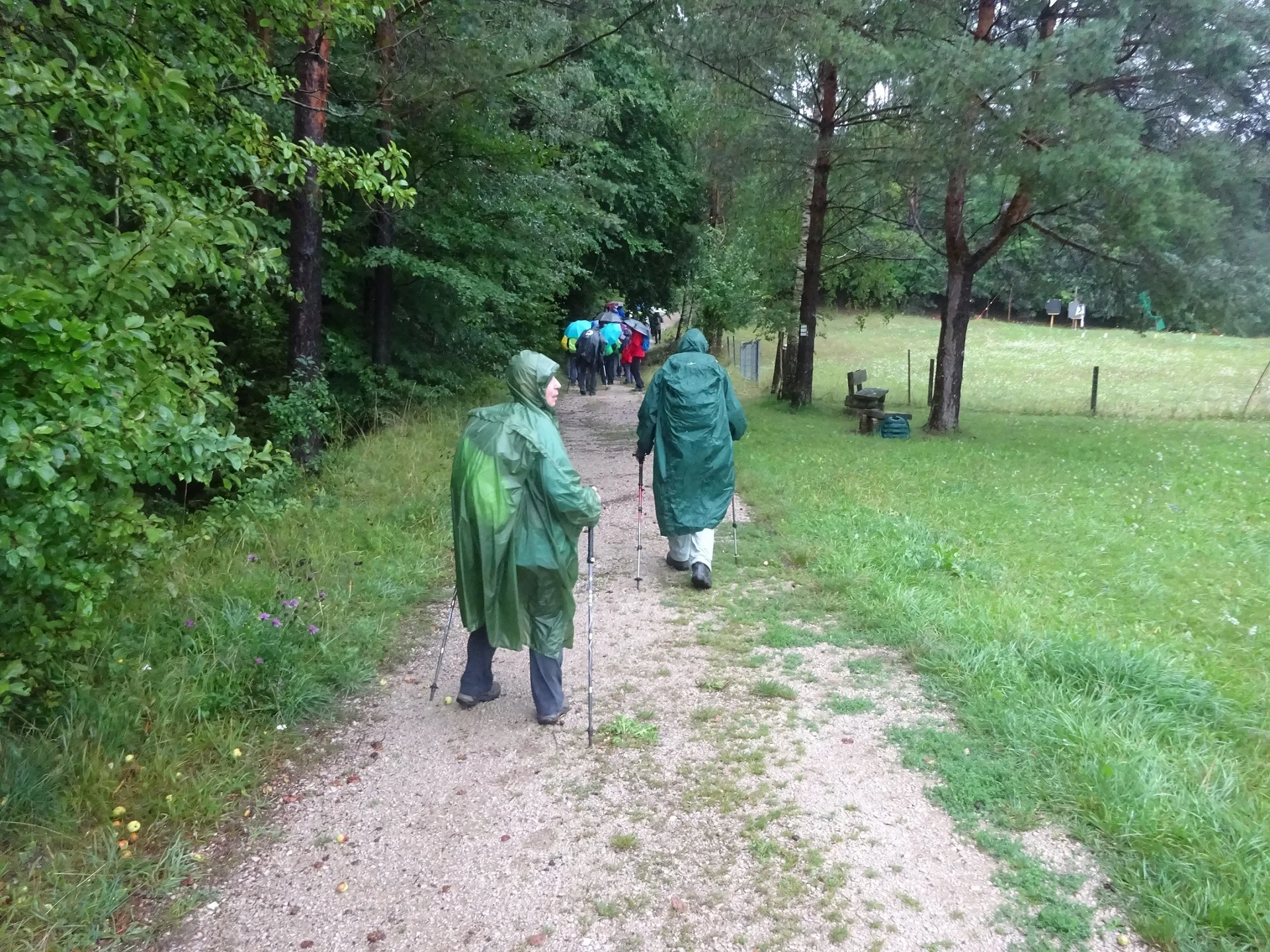 © Werner & Inge Fessel