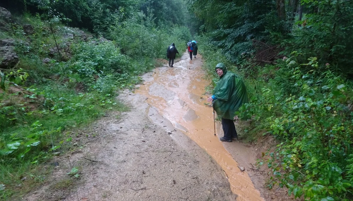 © Werner & Inge Fessel