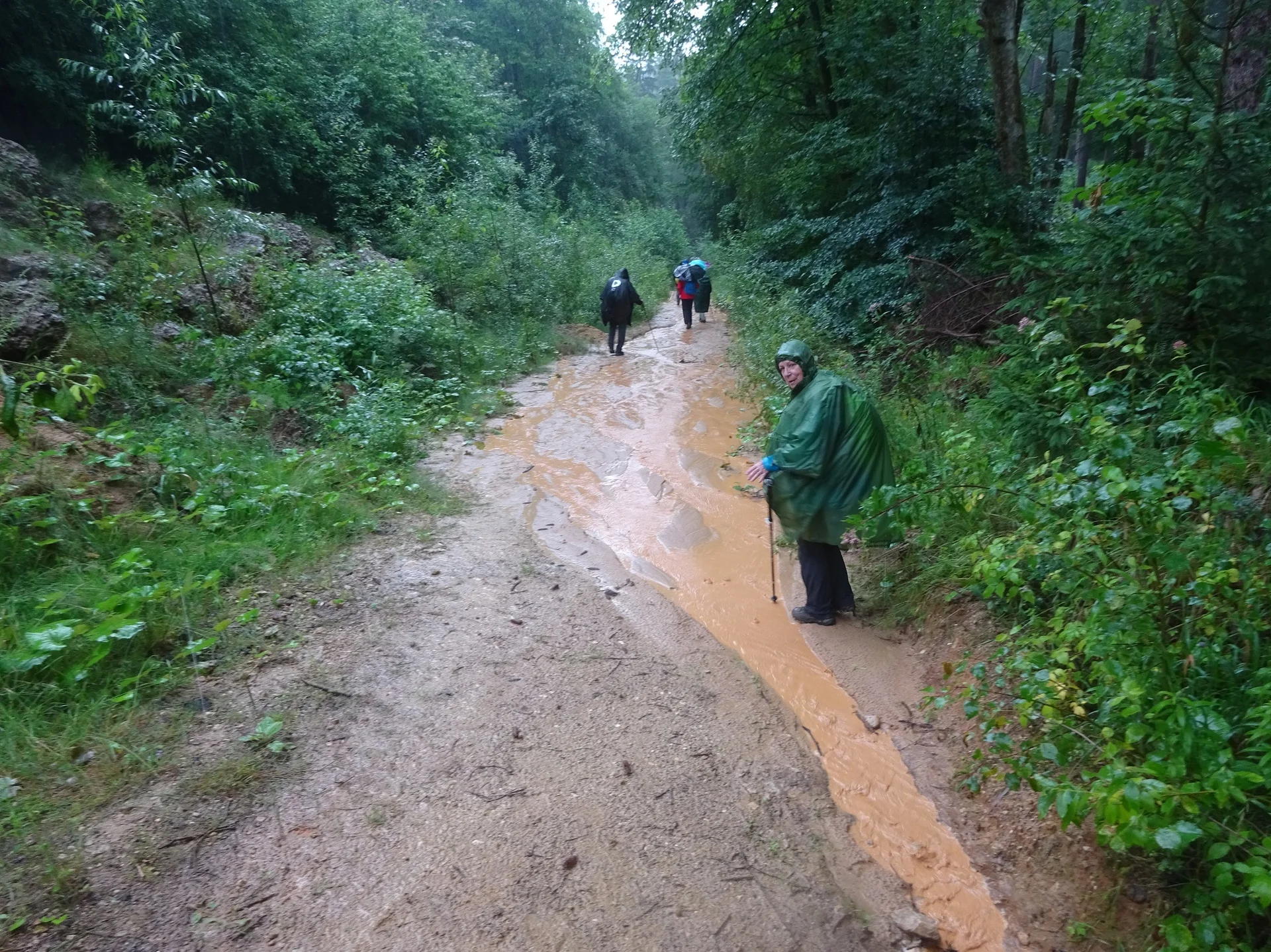 © Werner & Inge Fessel