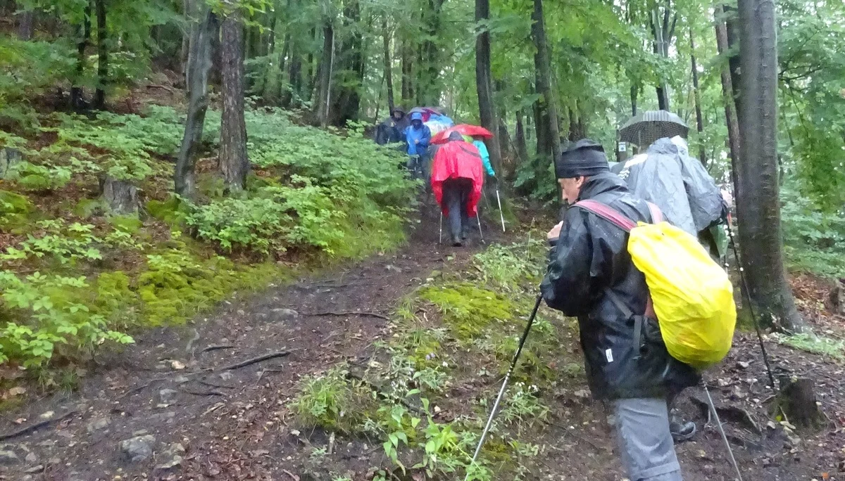 © Werner & Inge Fessel