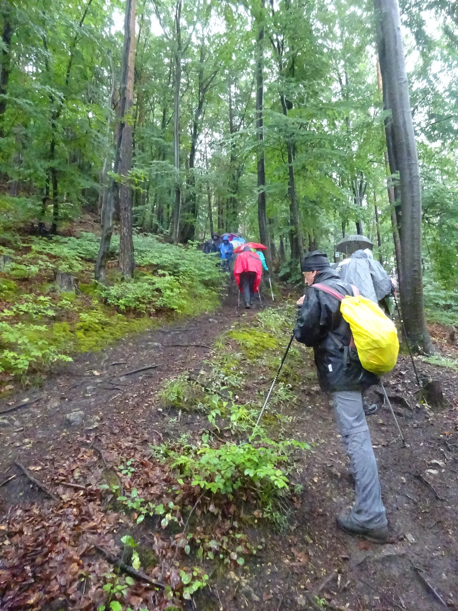 © Werner & Inge Fessel