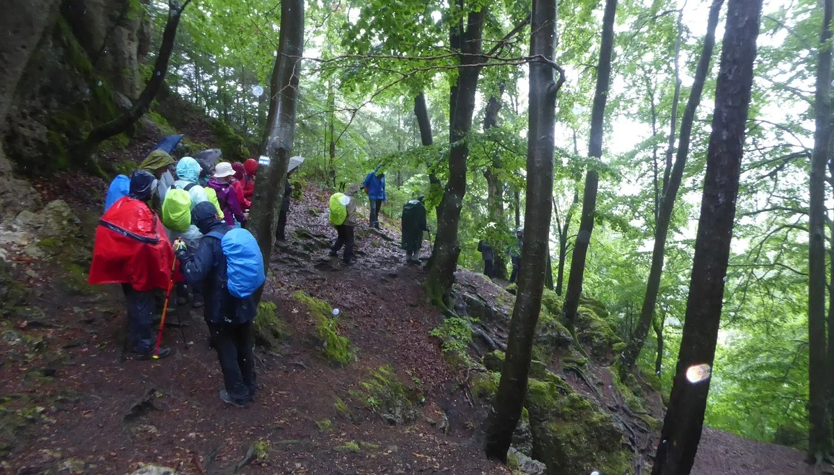 © Werner & Inge Fessel