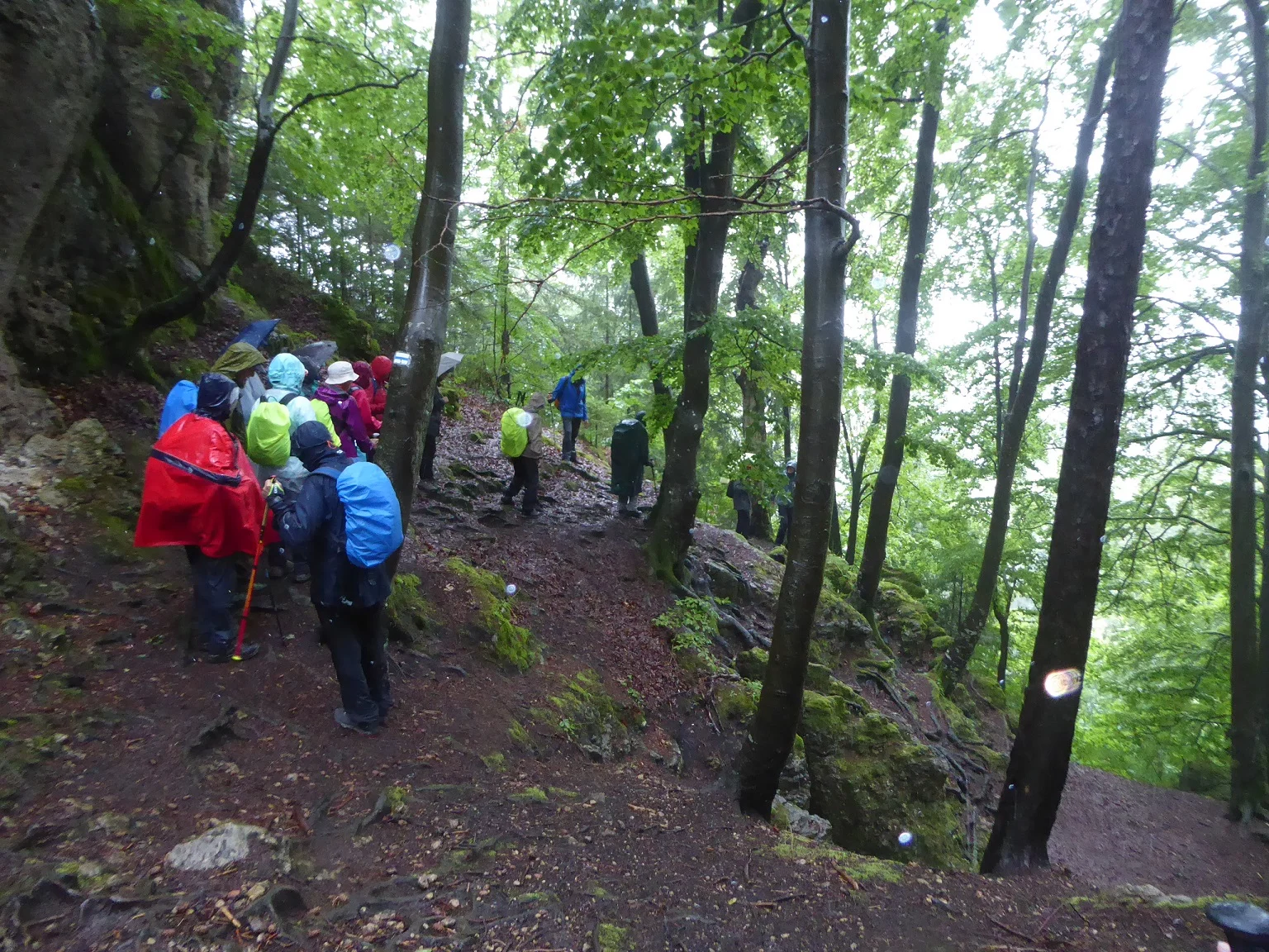 © Werner & Inge Fessel