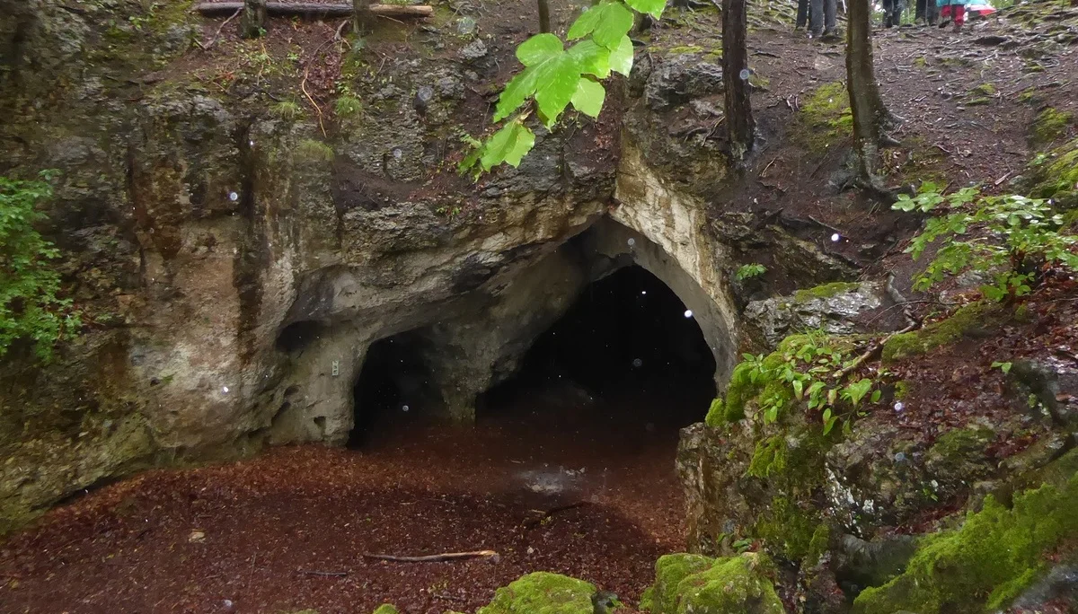 © Werner & Inge Fessel