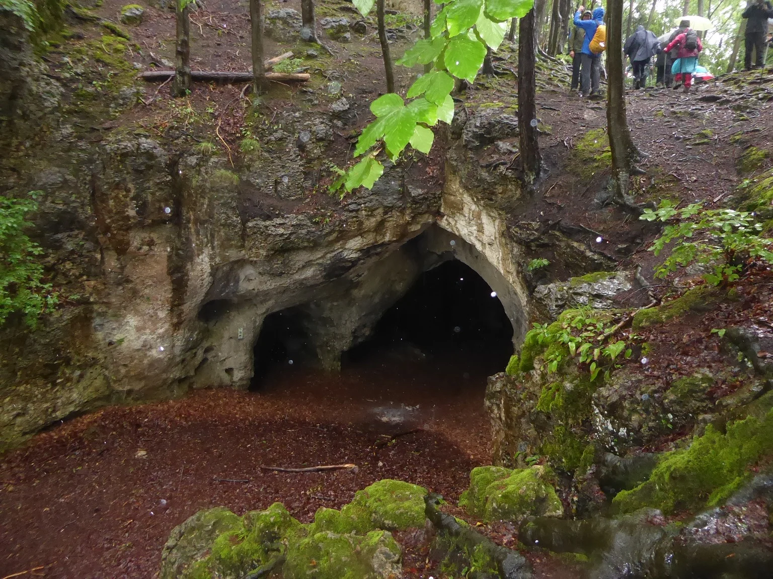 © Werner & Inge Fessel