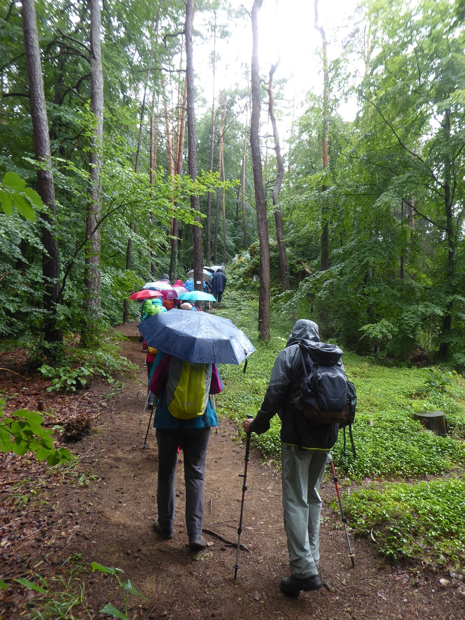 © Werner & Inge Fessel