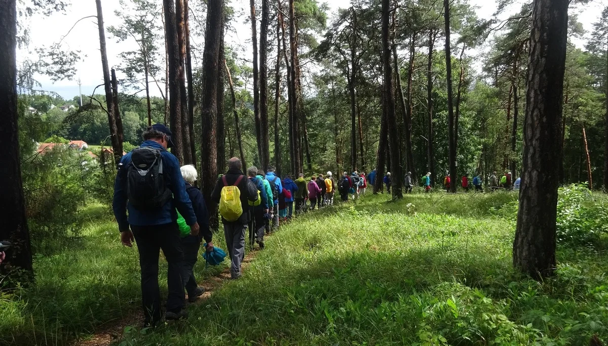 © Werner & Inge Fessel