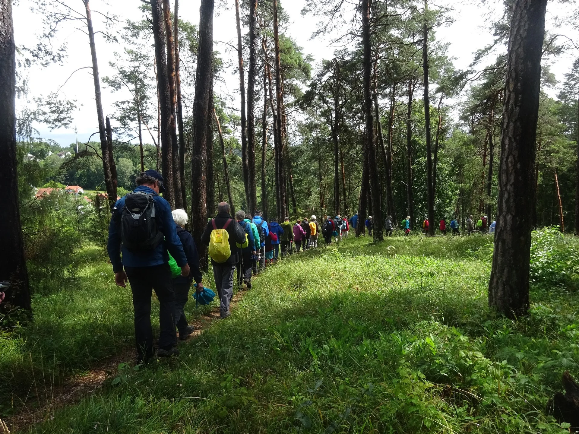 © Werner & Inge Fessel