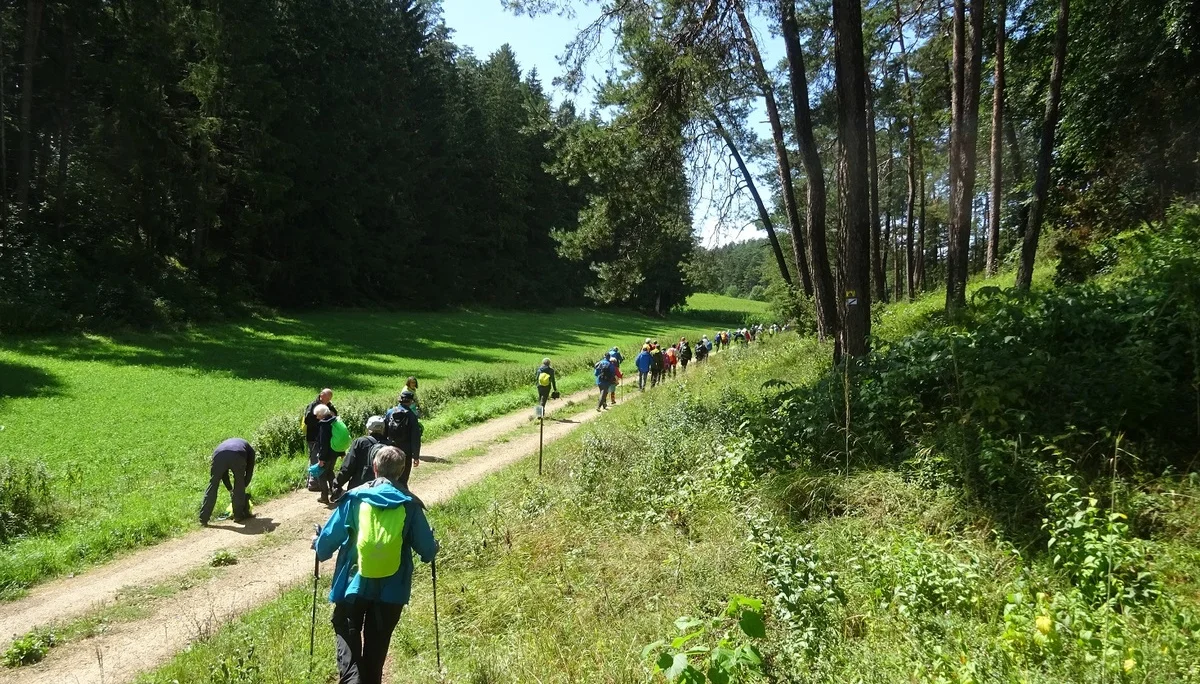 © Werner & Inge Fessel