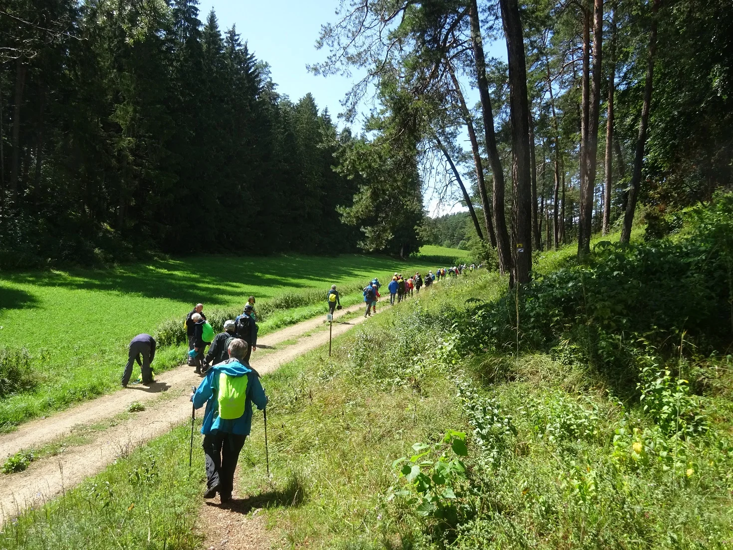 © Werner & Inge Fessel