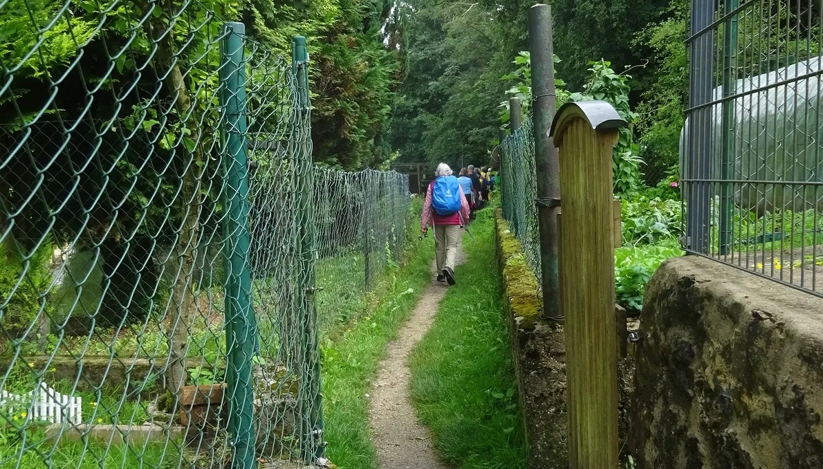 © Werner & Inge Fessel