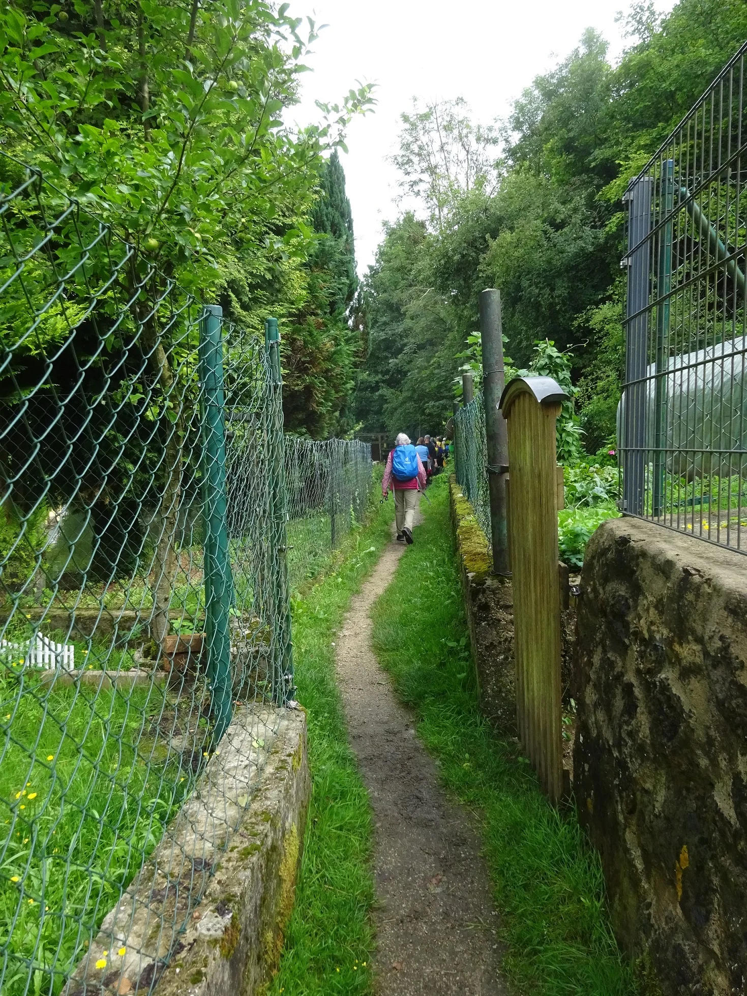 © Werner & Inge Fessel