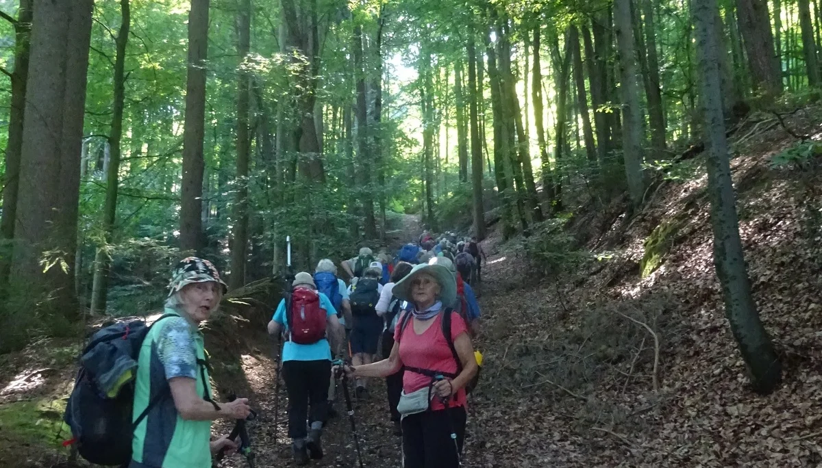 © Werner und Inge Fessel