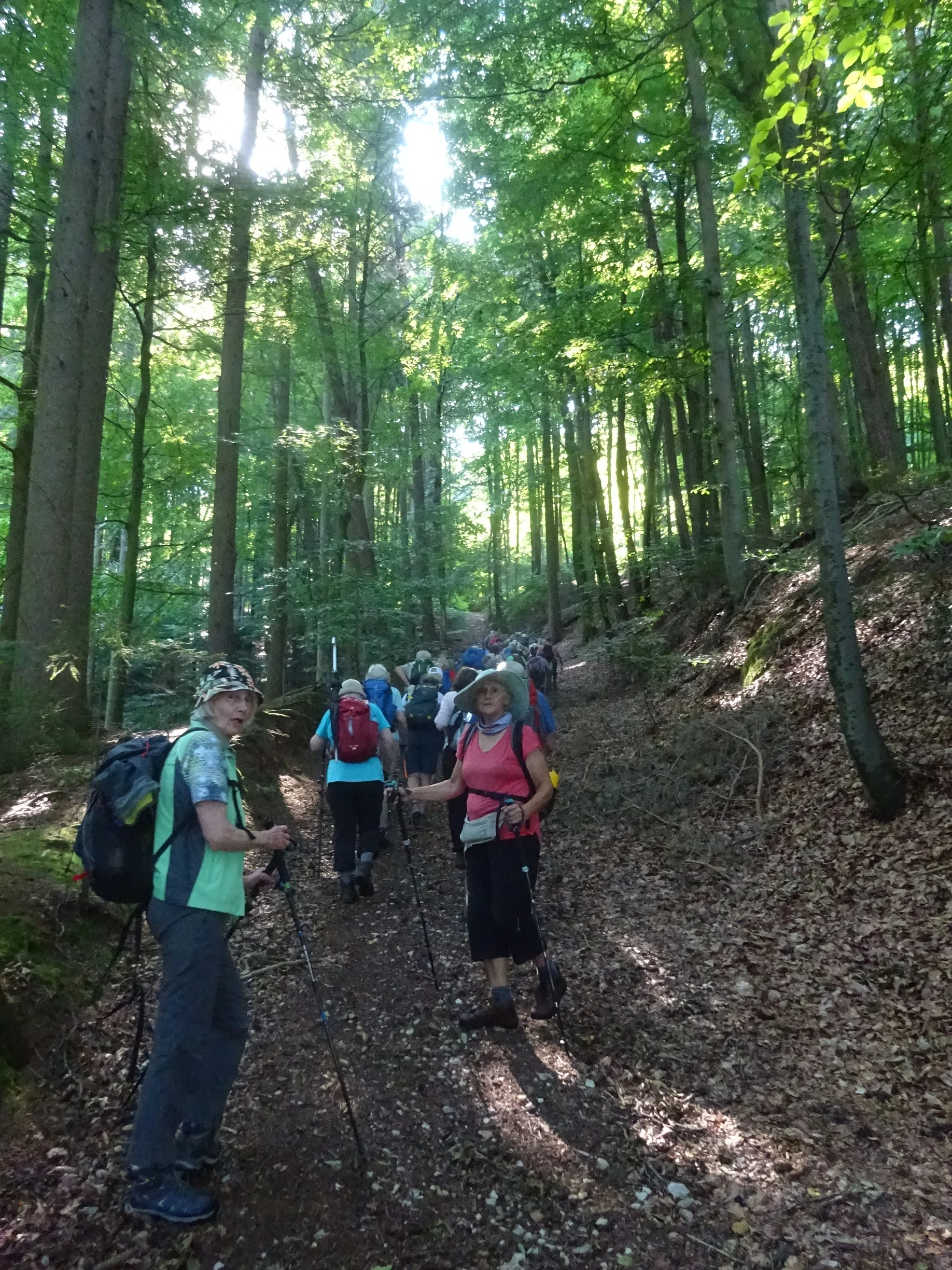 © Werner und Inge Fessel