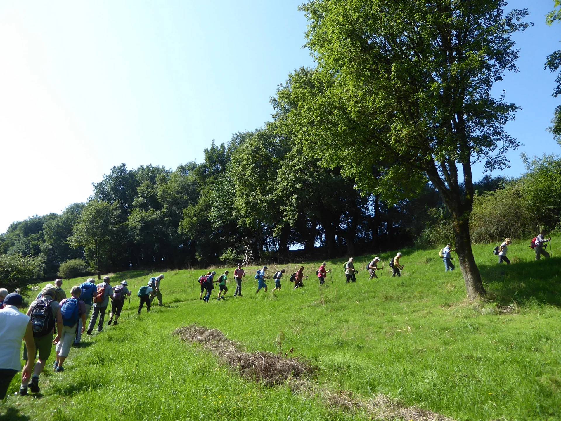 © Werner und Inge Fessel