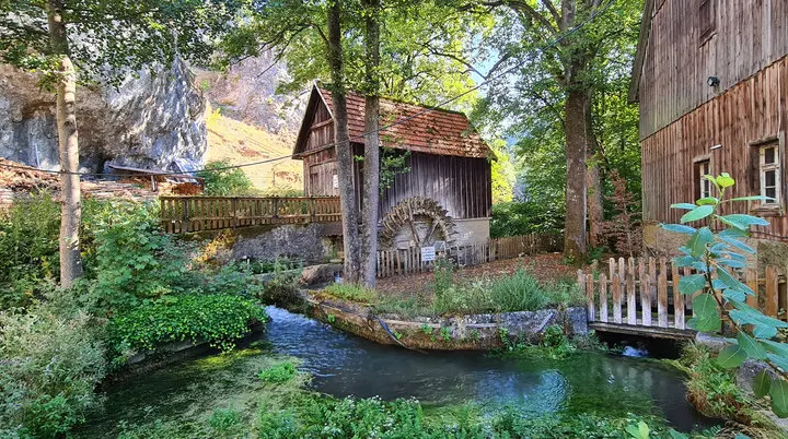 I.Fessel | © I.Fessel