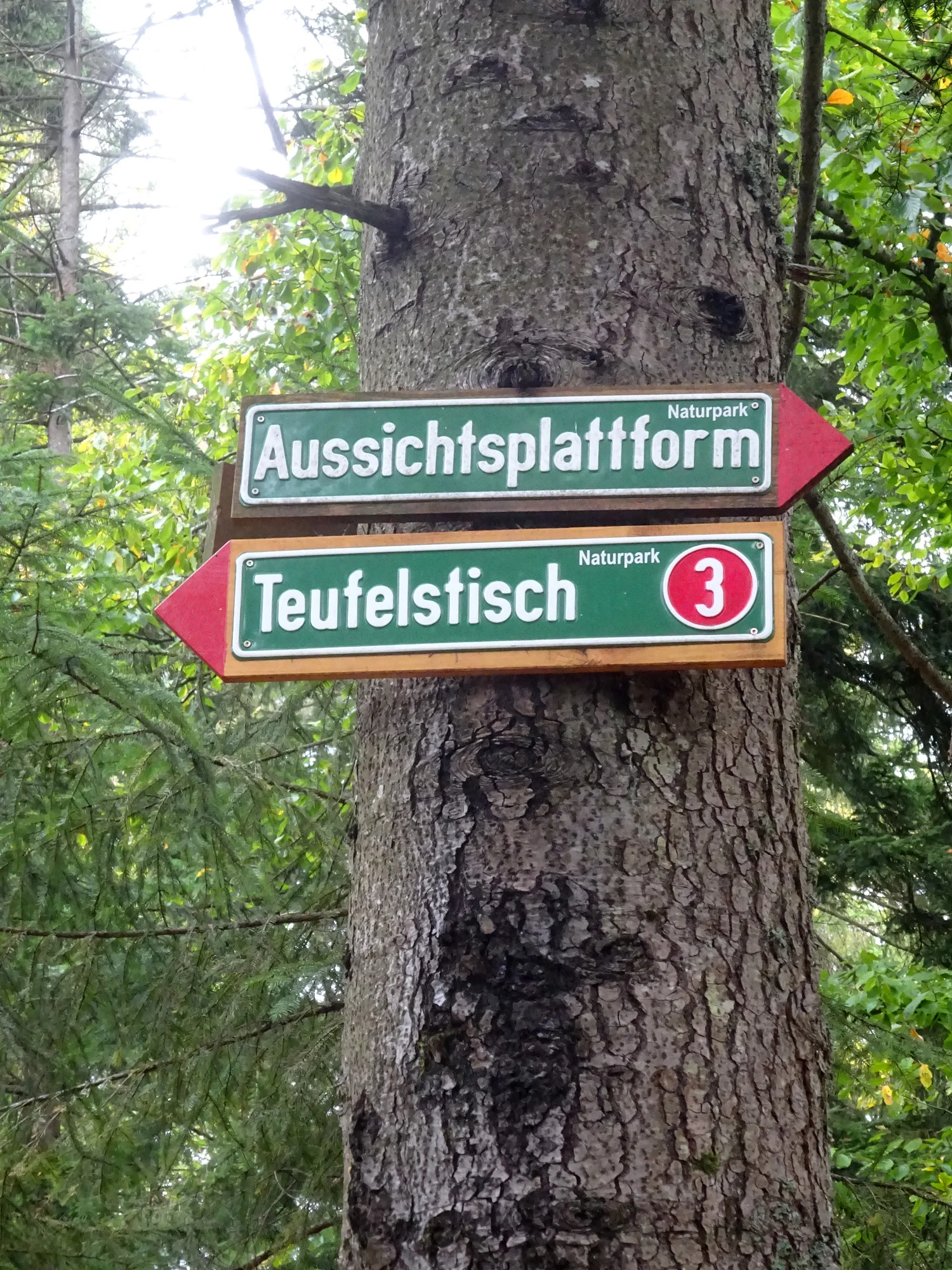 © W.Fessel