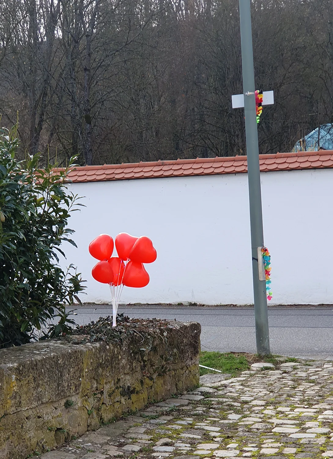 © W.Fessel