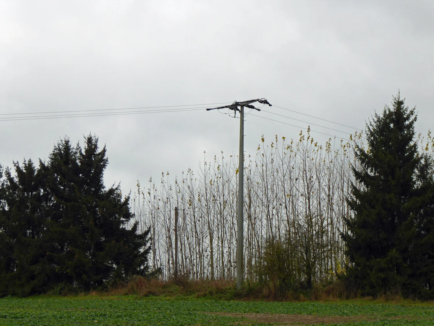 © Inge Fessel