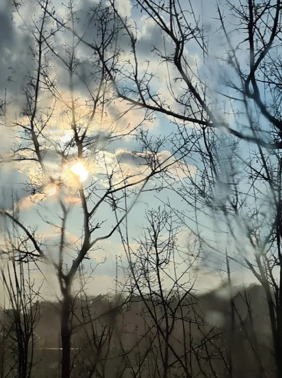 © Inge Fessel