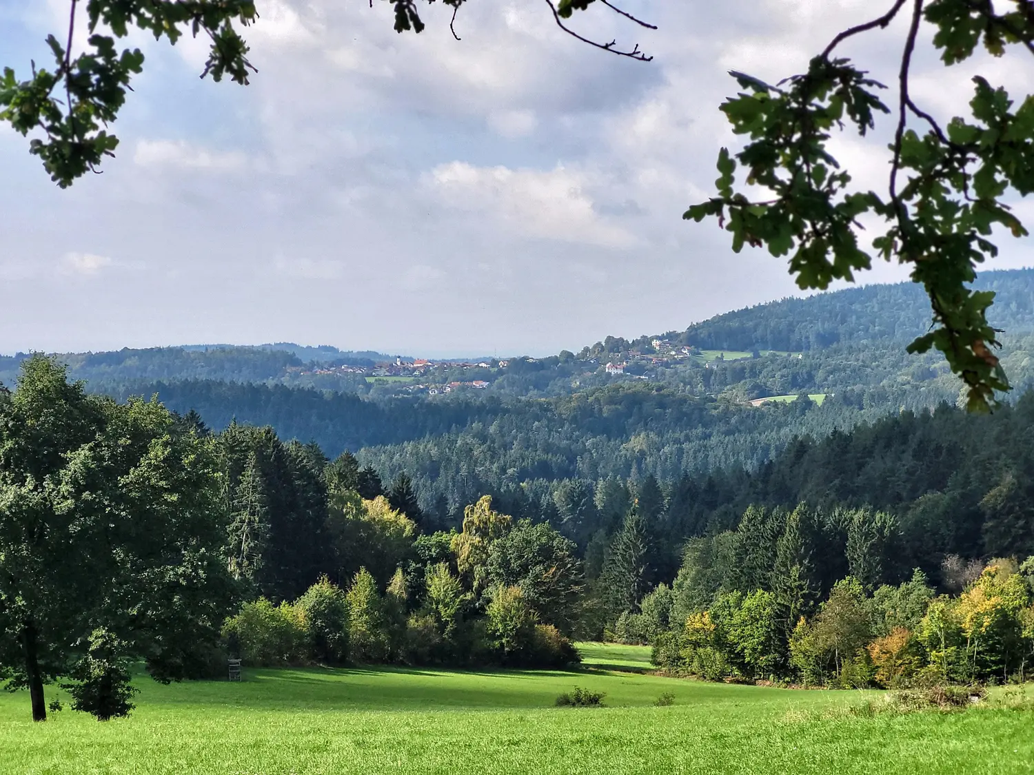 © Vangerow