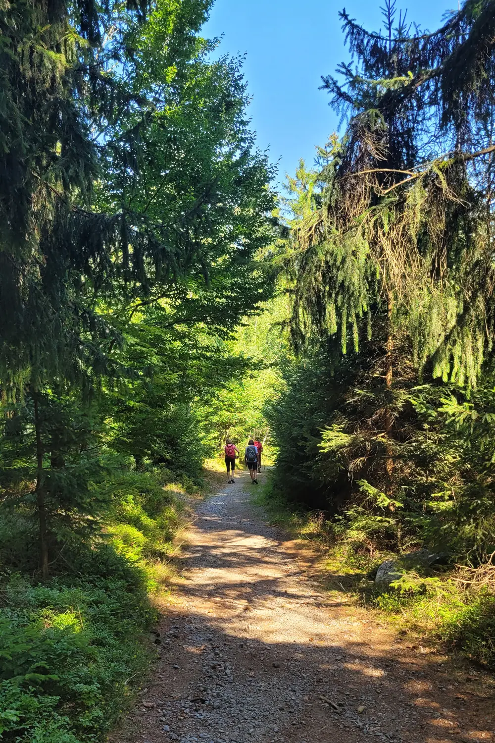© W.Reupke