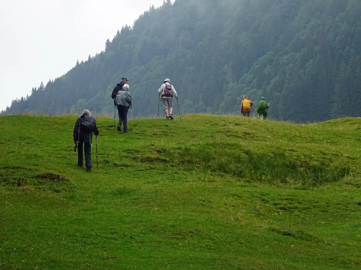 © Werner Fessel
