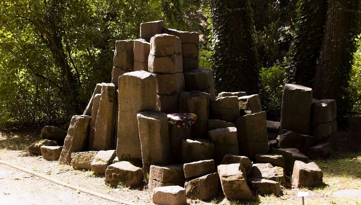 Farn | © Reinhardt Neft