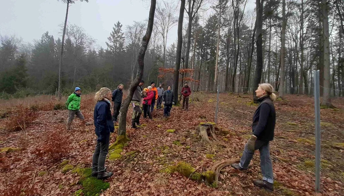 2024Pflanzung | © Reinhardt Neft