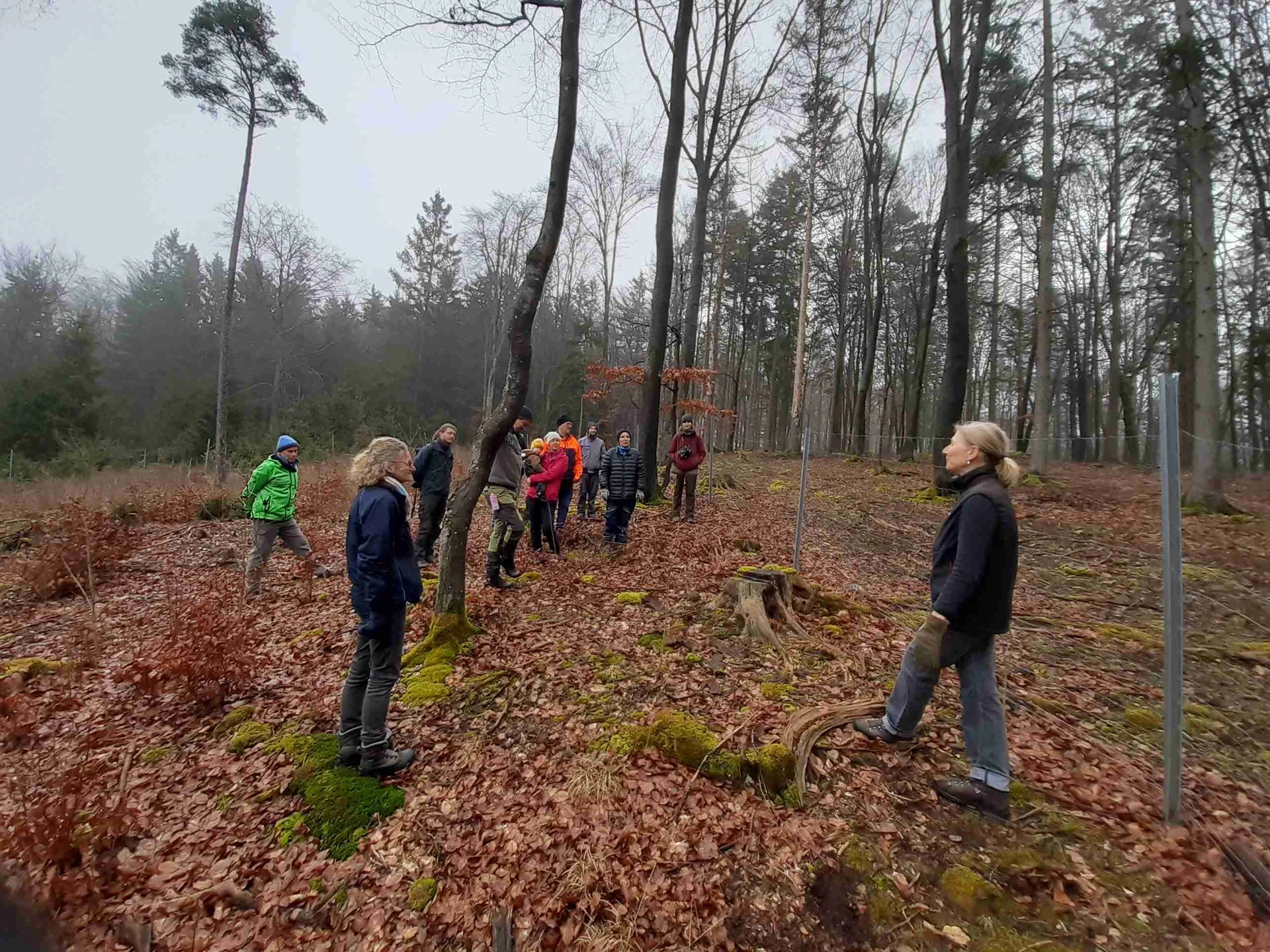 2024Pflanzung | © Reinhardt Neft