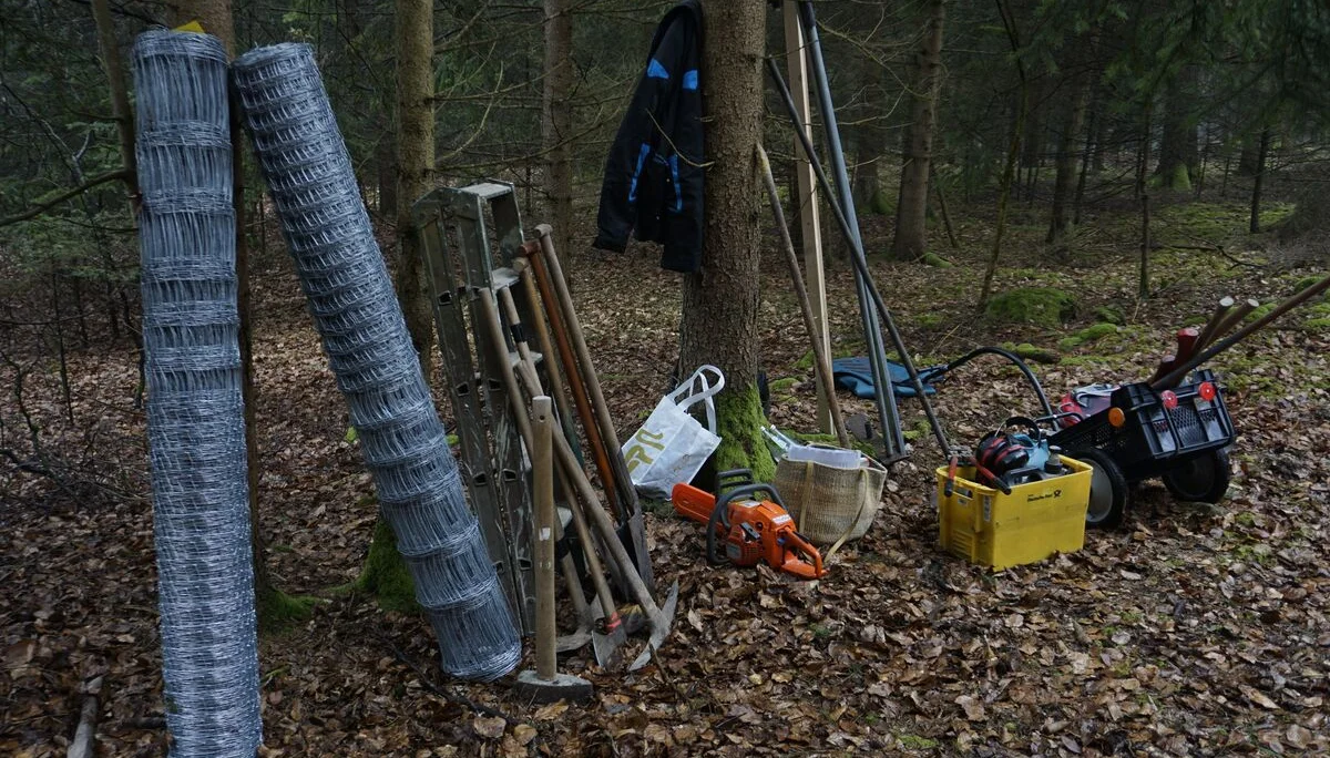 2024Pflanzfläche | © Reinhardt Neft