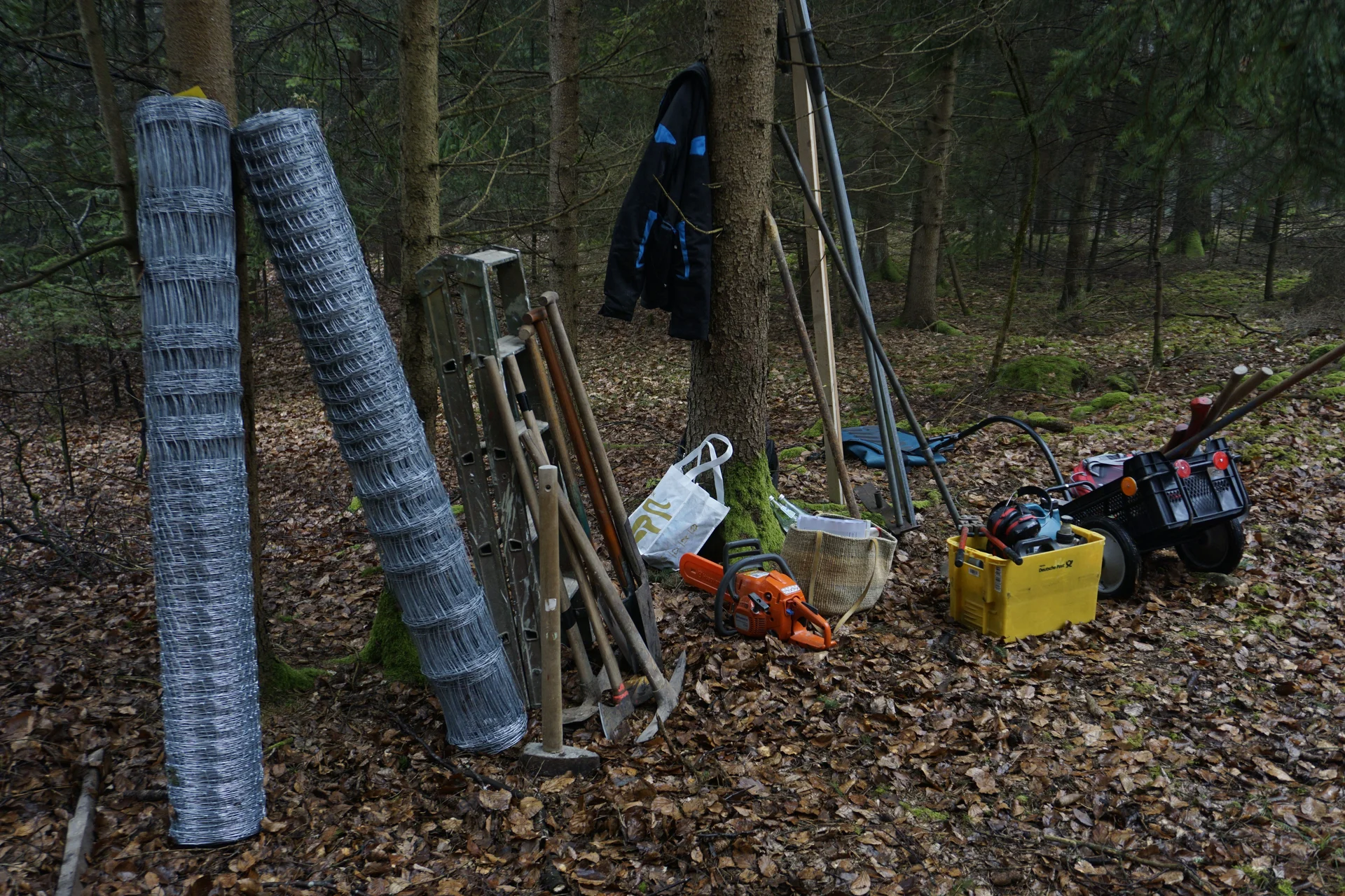 2024Pflanzfläche | © Reinhardt Neft