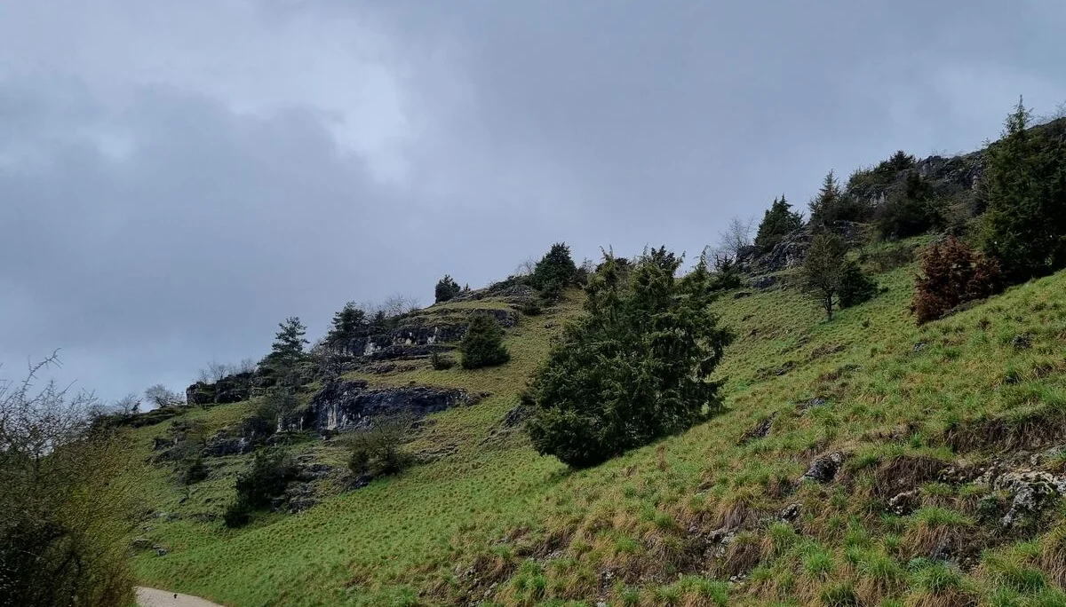 2023Trockenrasen | © Reinhardt Neft