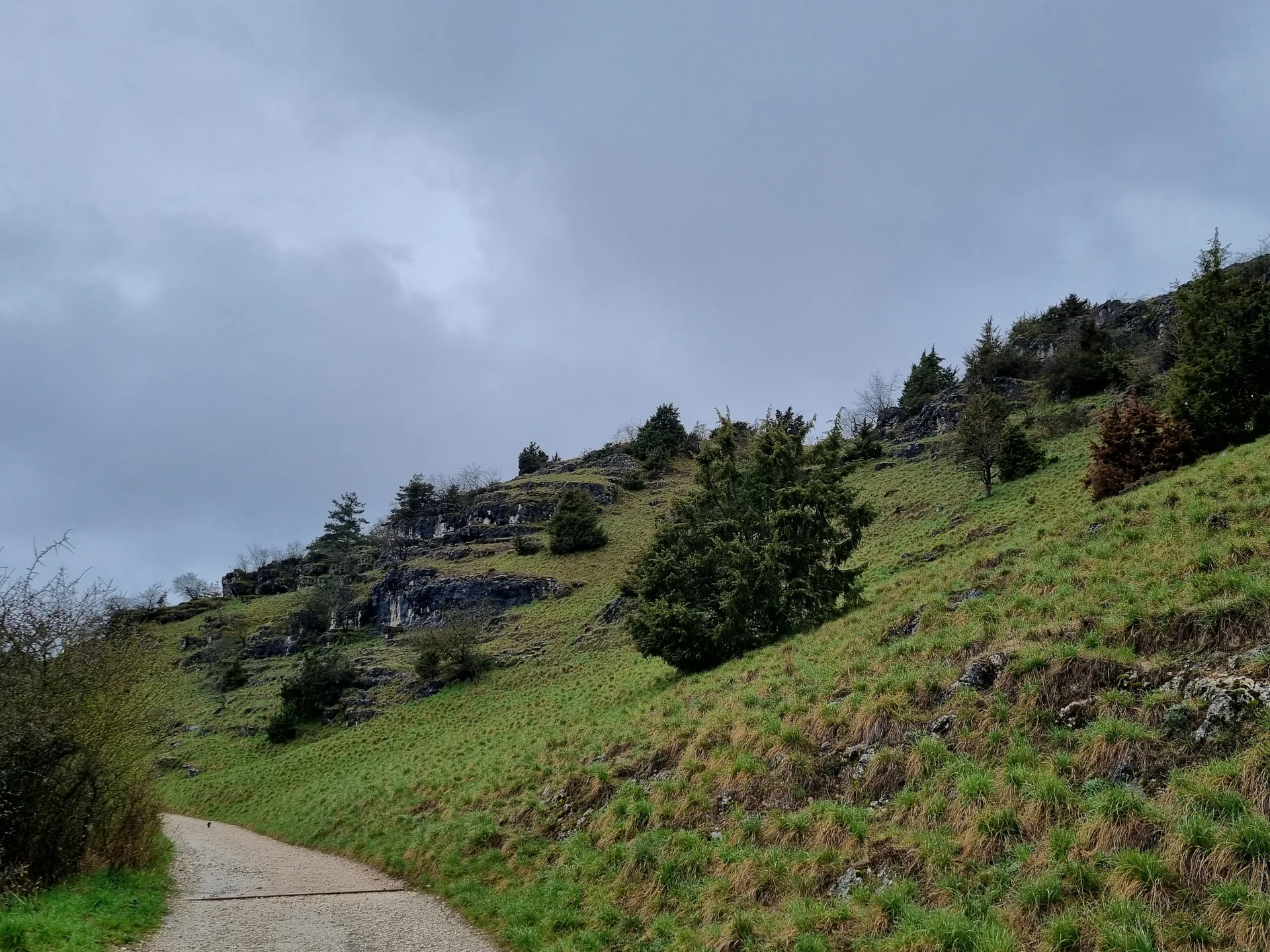 2023Trockenrasen | © Reinhardt Neft