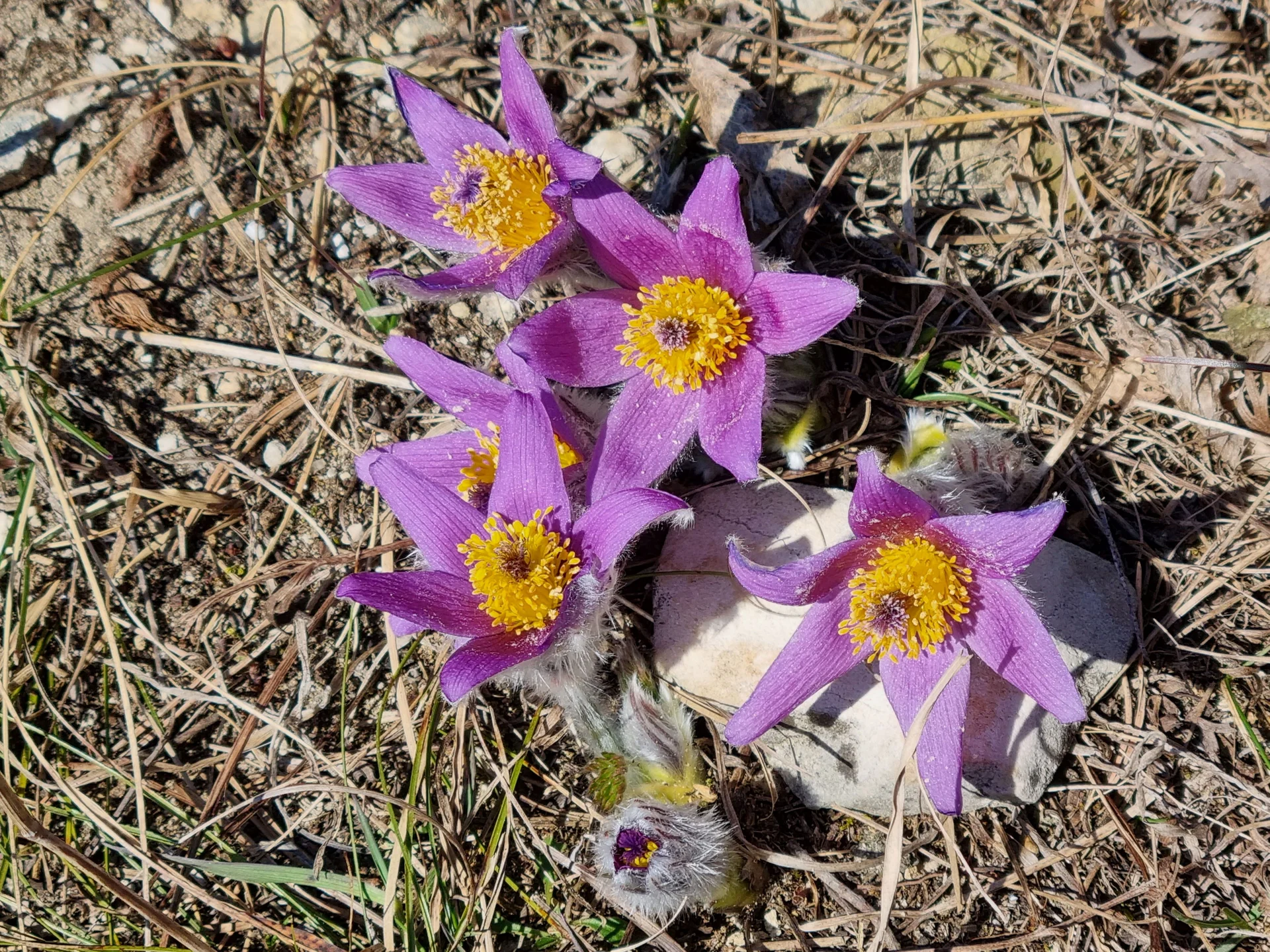 1 | © Reinhardt Neft