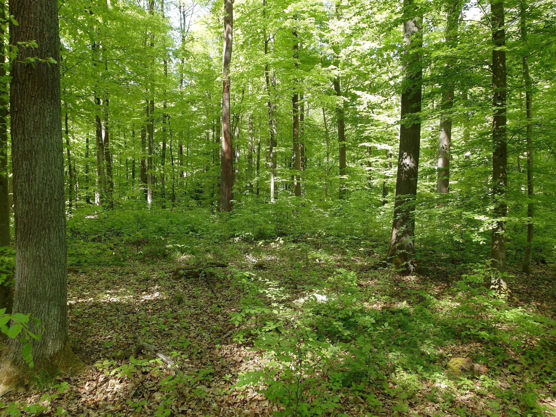 1 | © Reinhardt Neft