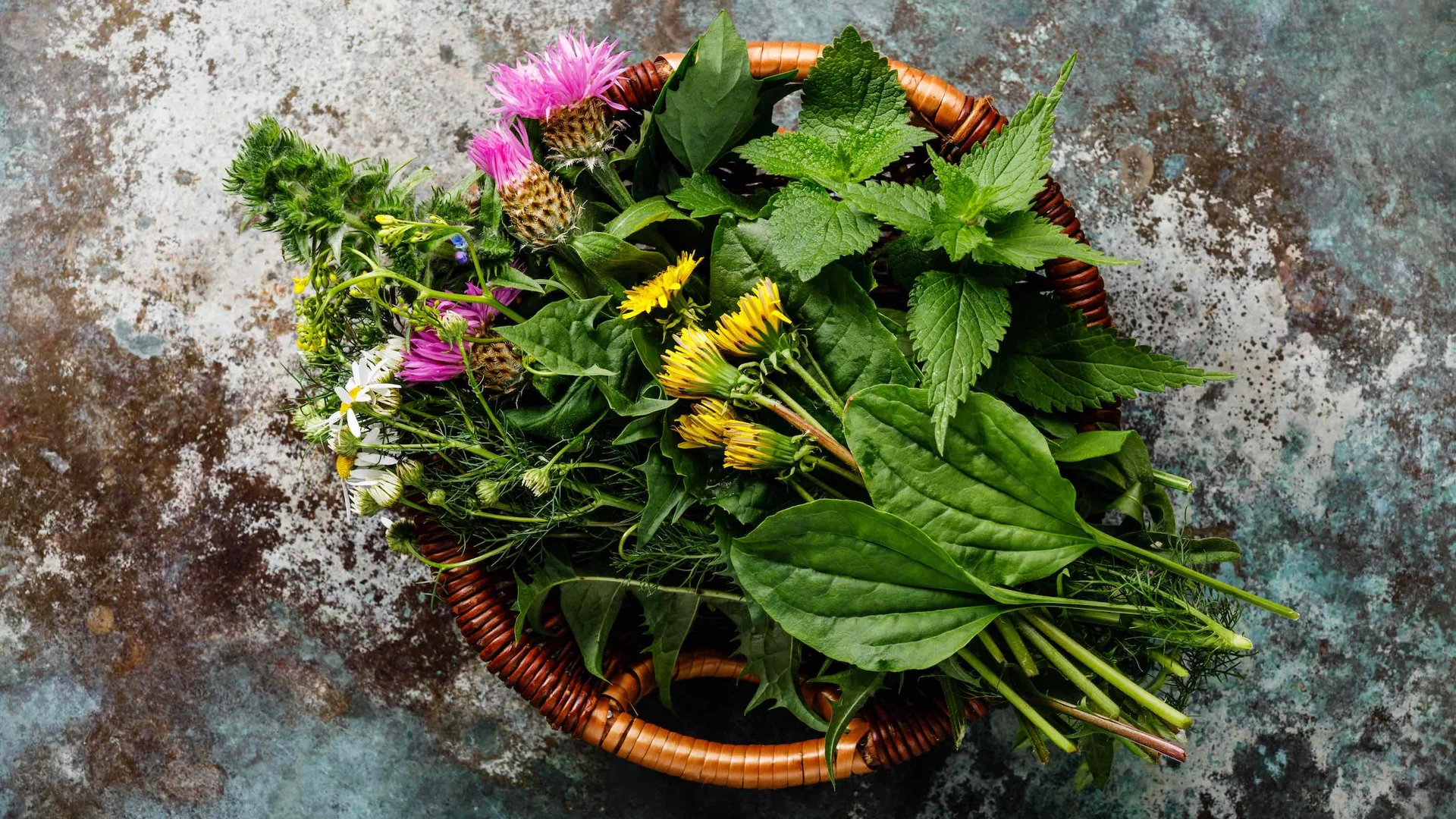 1 | © Reinhardt Neft