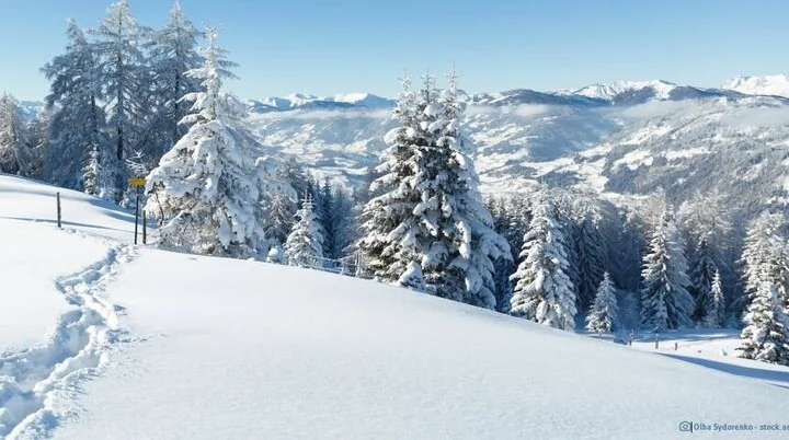 © Olga Sydorenko / stock.adobe.com (Foto)