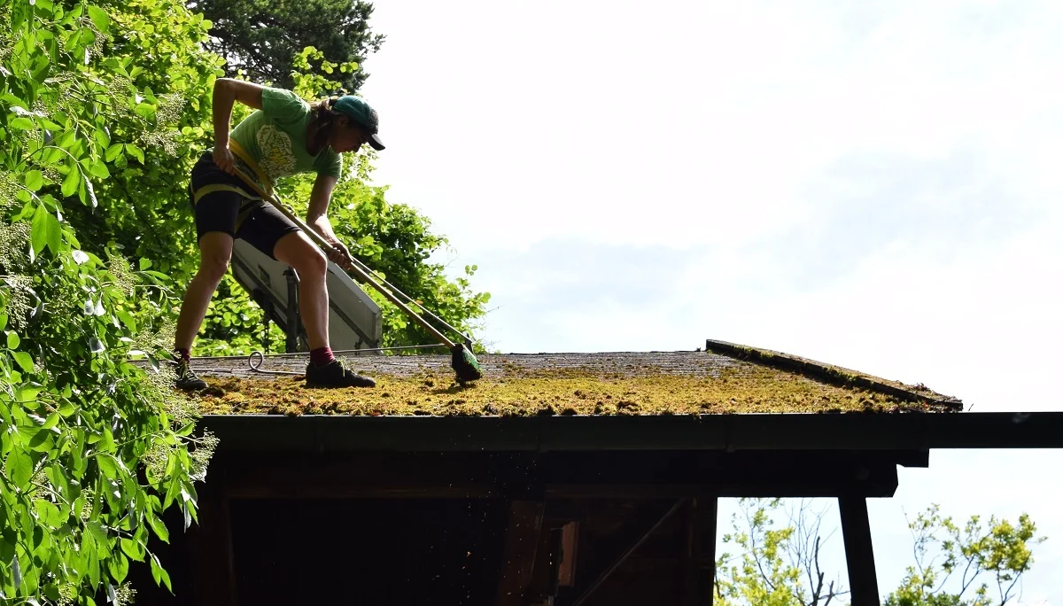 Dachsäuberung mit Ausblick auf die Donau - natürlich angeseilt. | © JDAV Regensburg