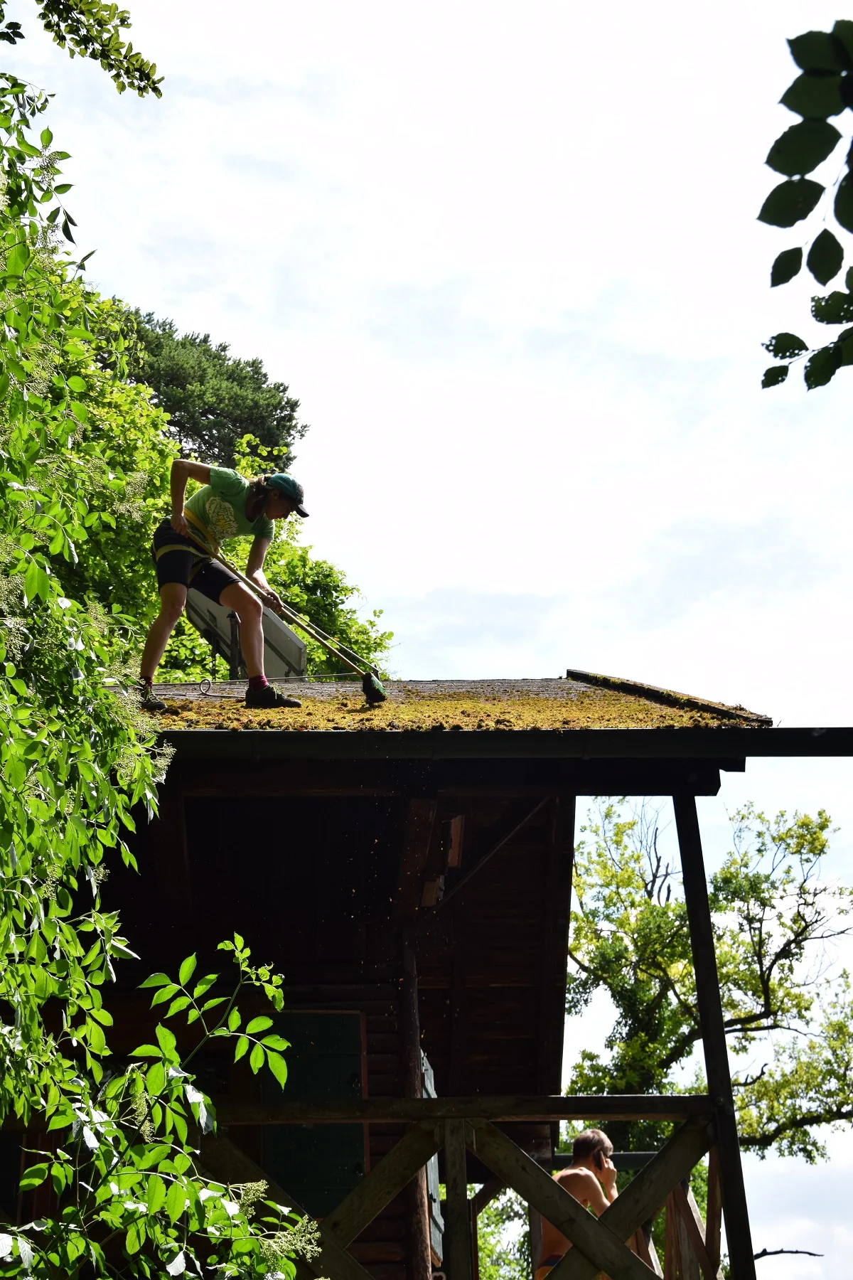 Dachsäuberung mit Ausblick auf die Donau - natürlich angeseilt. | © JDAV Regensburg