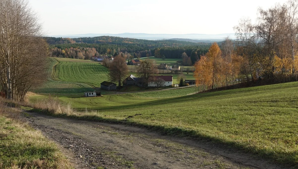 Sicht auf die Steinwaldkirche | © Toni Putz
