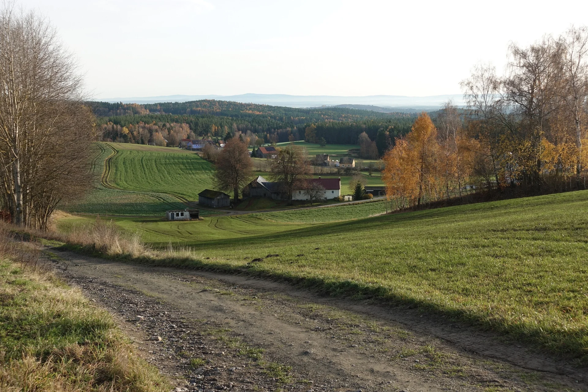 Sicht auf die Steinwaldkirche | © Toni Putz