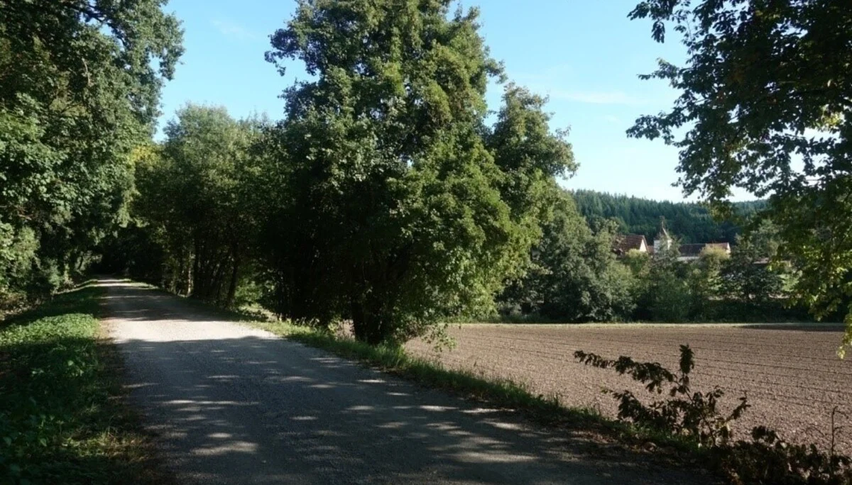 Bruckdorf | © Toni Putz