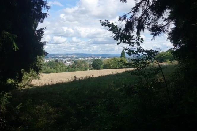 Blick auf Regensburg vom Waldrand | © Toni Putz
