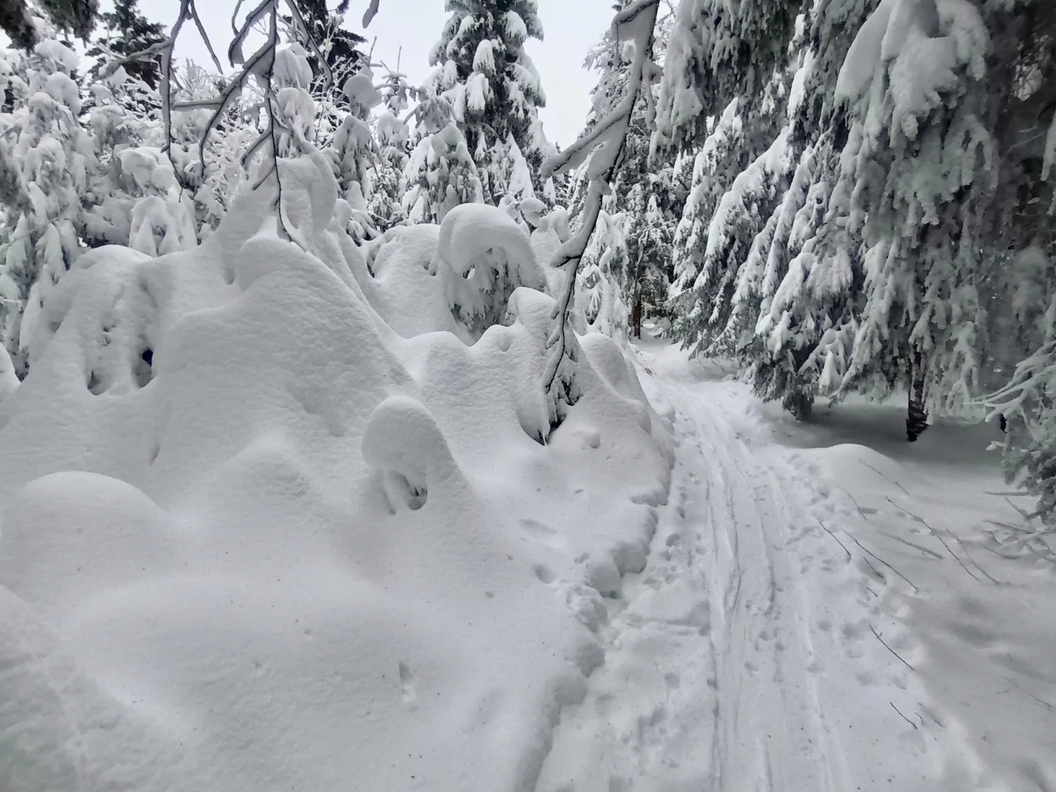 Tief verschneit abseit der Pröllerpisten | © Franz-Xaver Six / DAV Straubing