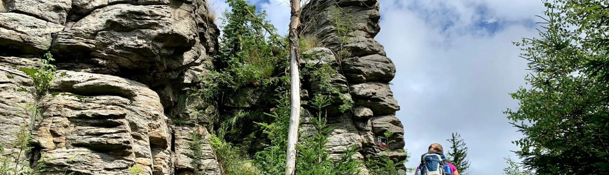 © Daniela Schilling