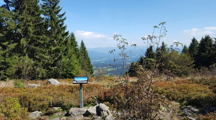 © Waltraud Auburger