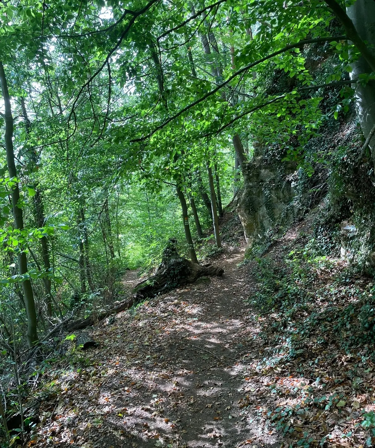 Hersbrucker Alb | © Henri / Öffigruppe